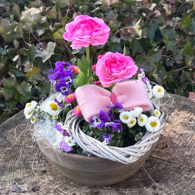 Blumenschale Frühling für Haus und Gartendeko oder Grabschmuck pflanzen und dekorieren