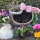 Blumenschale Frühling für Haus und Gartendeko oder Grabschmuck pflanzen und dekorieren