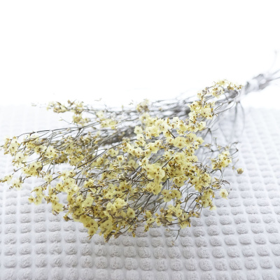 Statice Limonium Strandflieder fein, natur gelb, Trockenblume mit kleiner Blüten