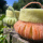 DIY Windlichter Sommer Gartendeko Tischdeko Sommerdeko bunt mit Wollband