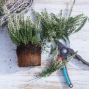 Grabgesteck Herz, DIY Pflanzherz mit Sola Rose haltbar rot weiß selbermachen