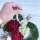 Grabgesteck Herz, DIY Grabschmuck Allerheiligen Pflanzherz mit Anleitung
