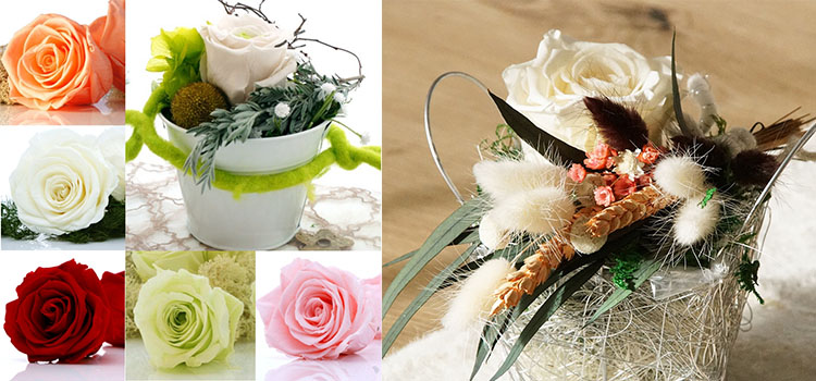 Herbstdeko Metallring mit Trockenblumen selber machen