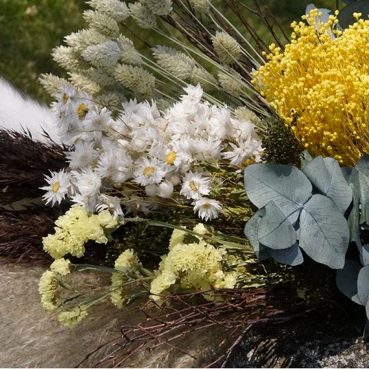 Trockenblumen Fruehling kaufen gelb gruen weiß natur braun