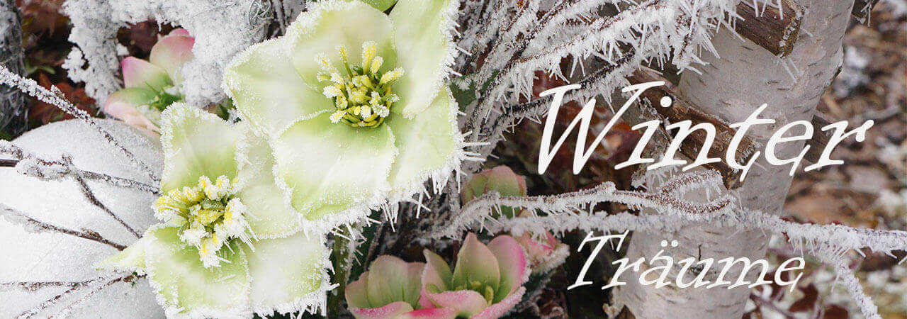 Weihnachtsdeko Winterdeko Christrosen haltbare Blumen für Weihnachten