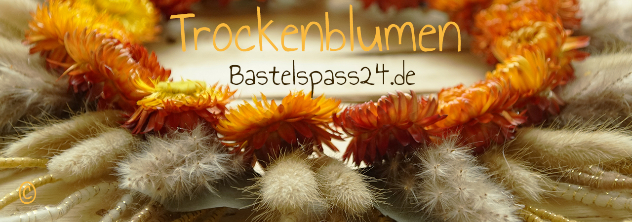 Trockenblumen kaufen getrocknete Blumen