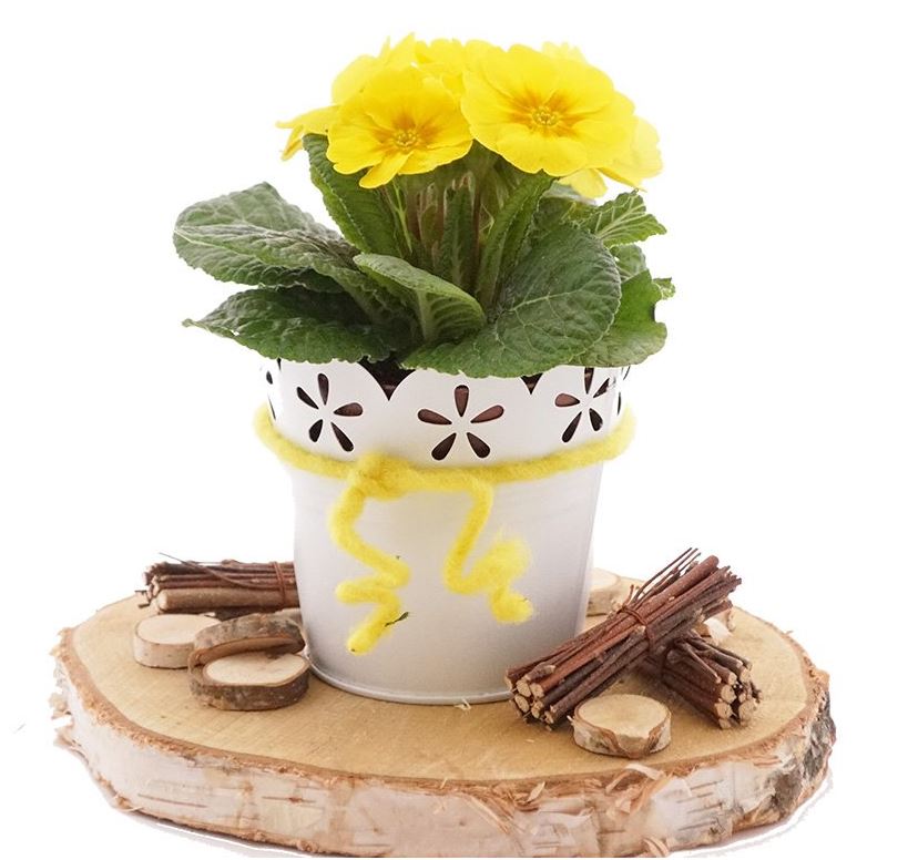 Bastelspass24 Floristik Deko Im Bastel Online Shop